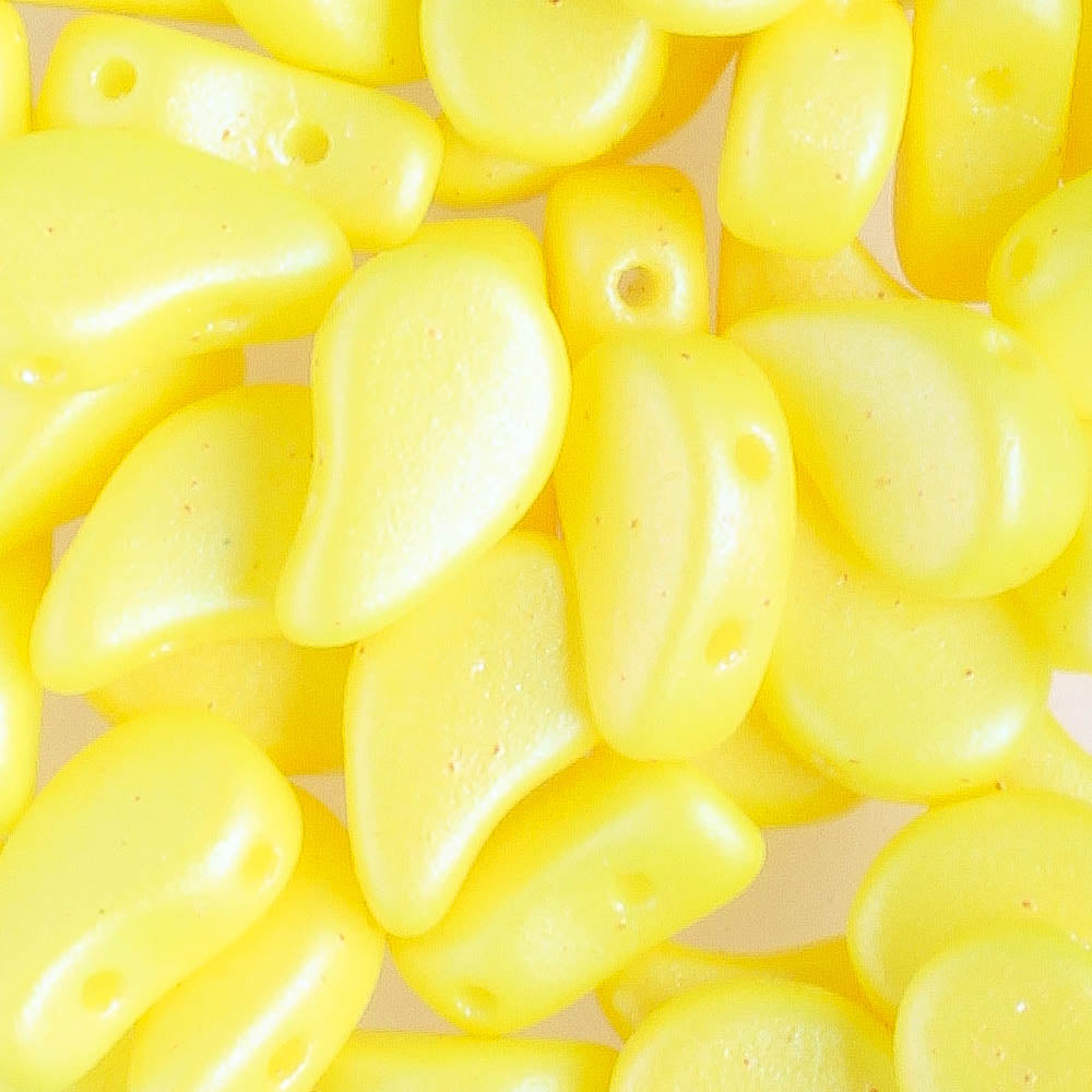 Paisleyduo Tutti Frutti Lemon - 10 grams