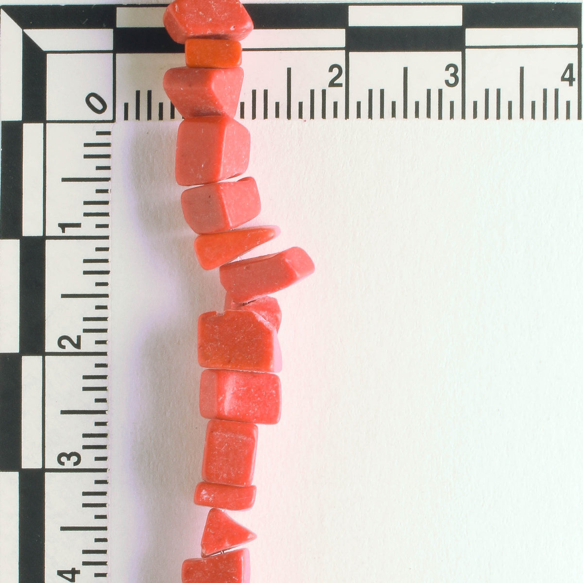 Imitation Coral - 8" strand