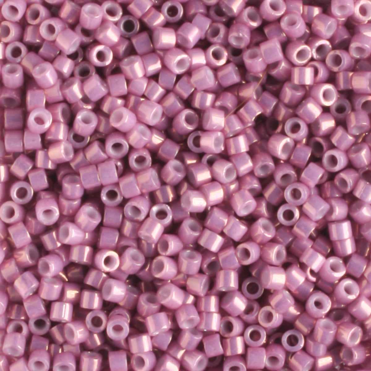 DB0253 Opaque Luster Rose