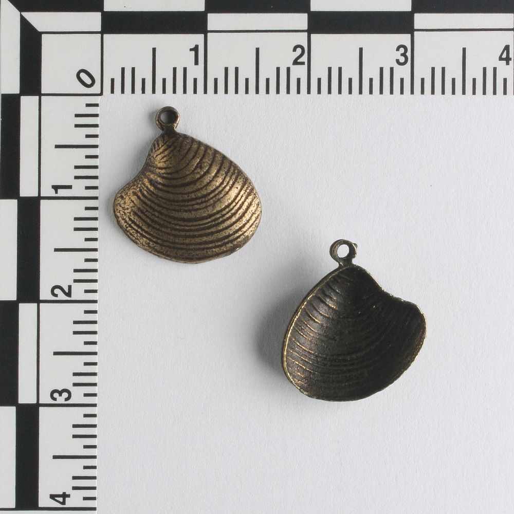 Charm - Shell