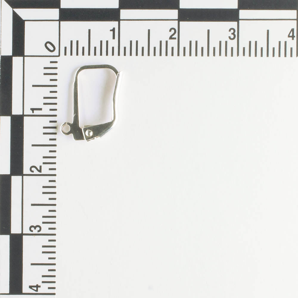 Earring - Silver - Pair