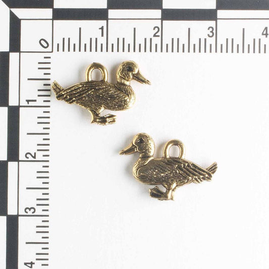 Charm - Duck