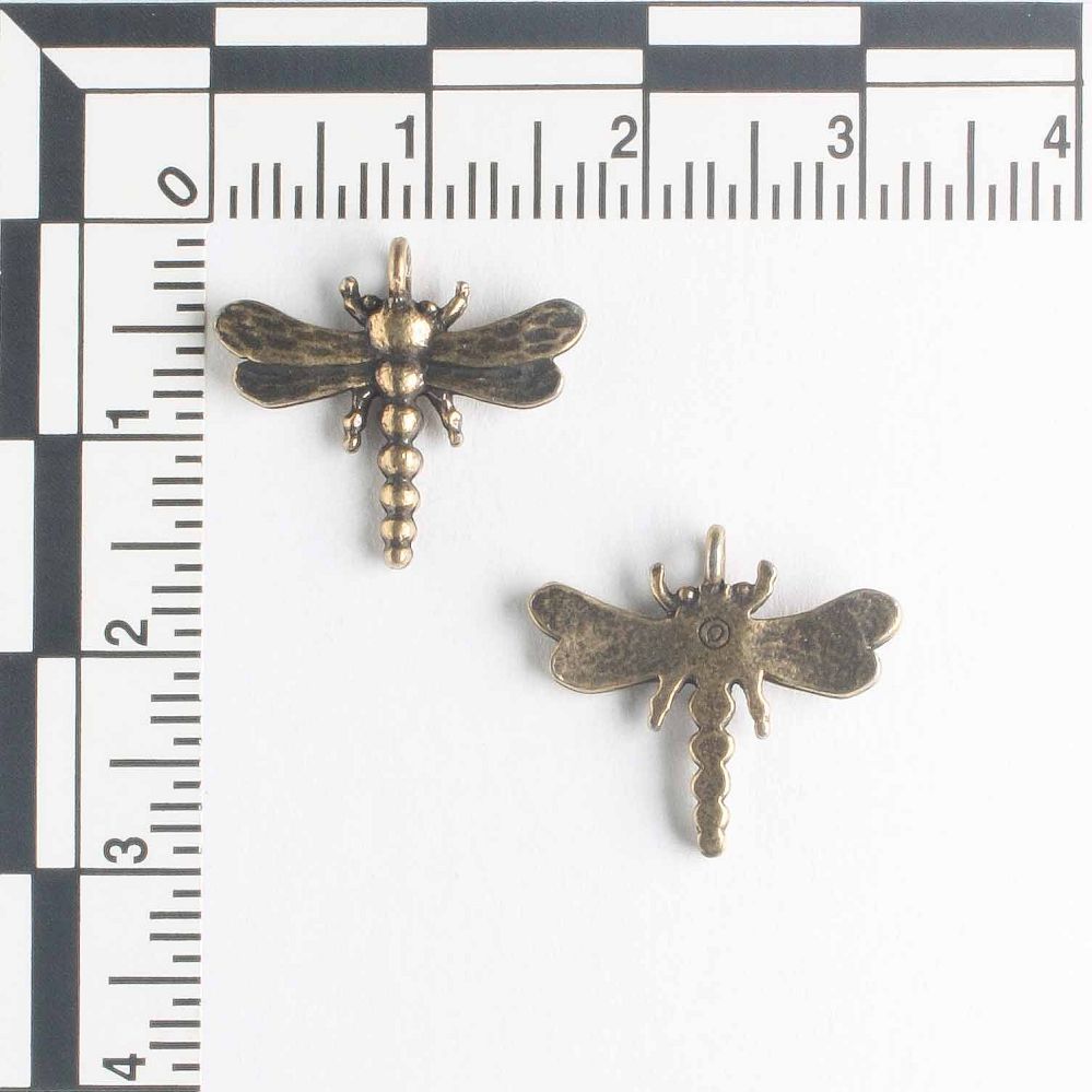 Charm - Dragonfly