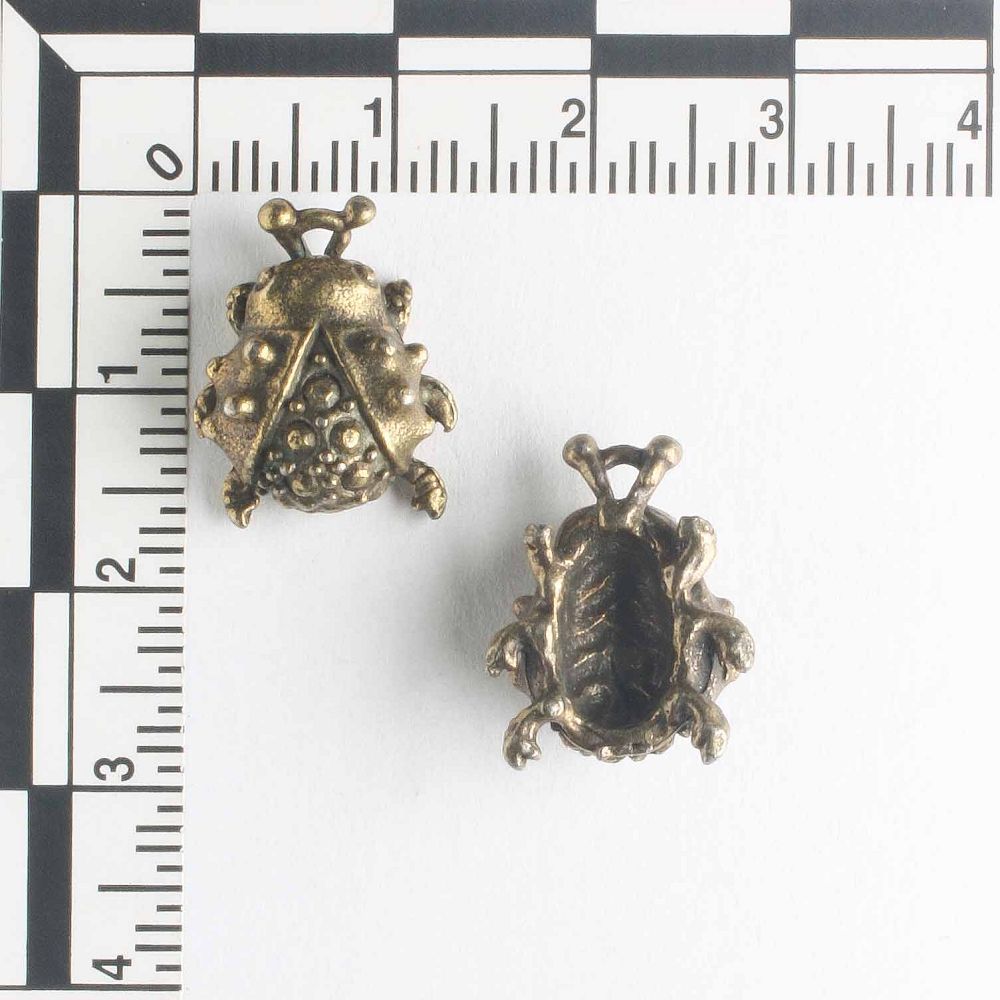 Charm - Beetle