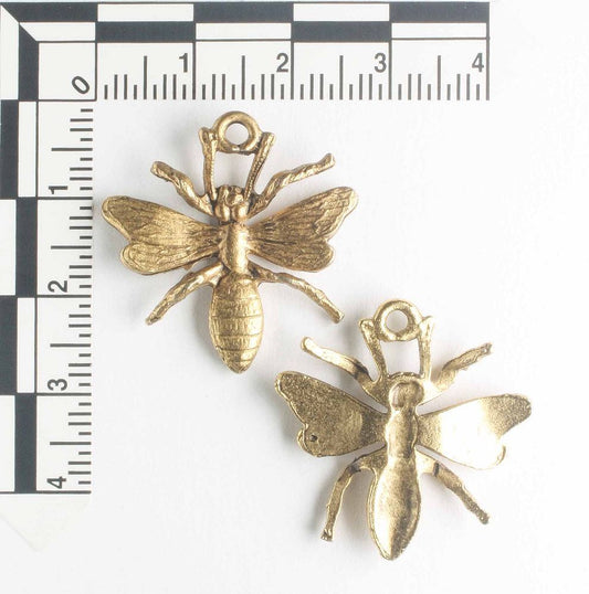 Charm - Bug