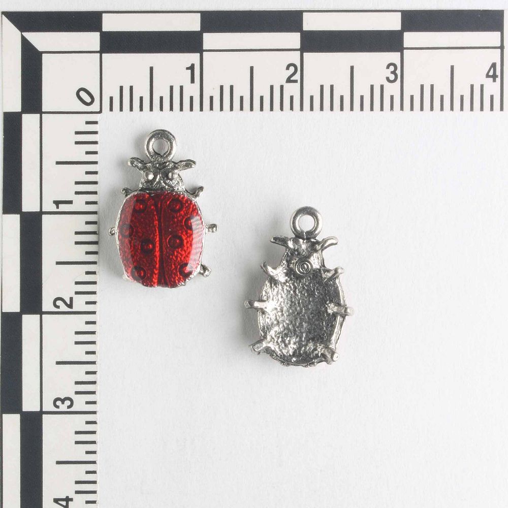 Charm - Ladybug