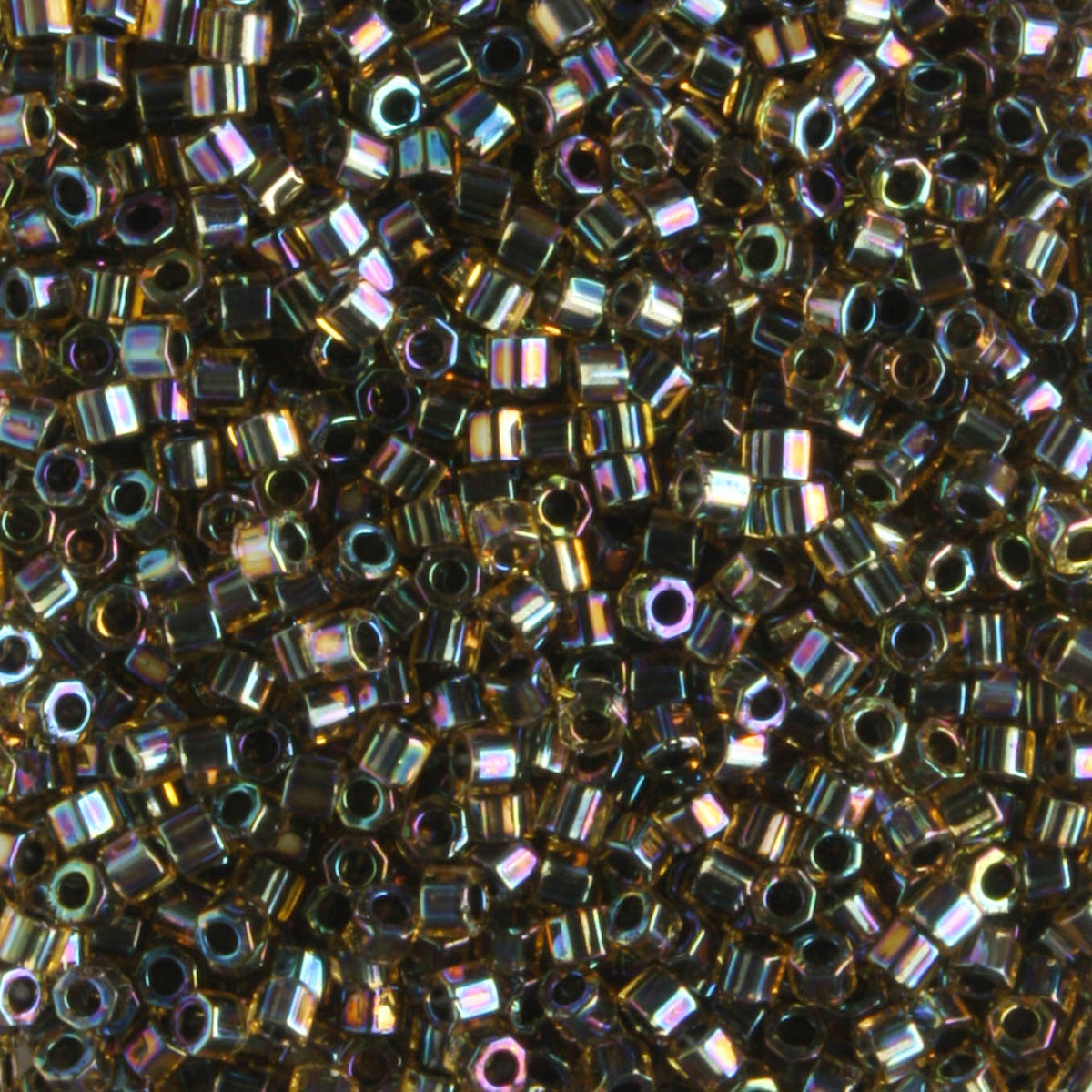 DBH0089 Color Lined Rainbow Olive
