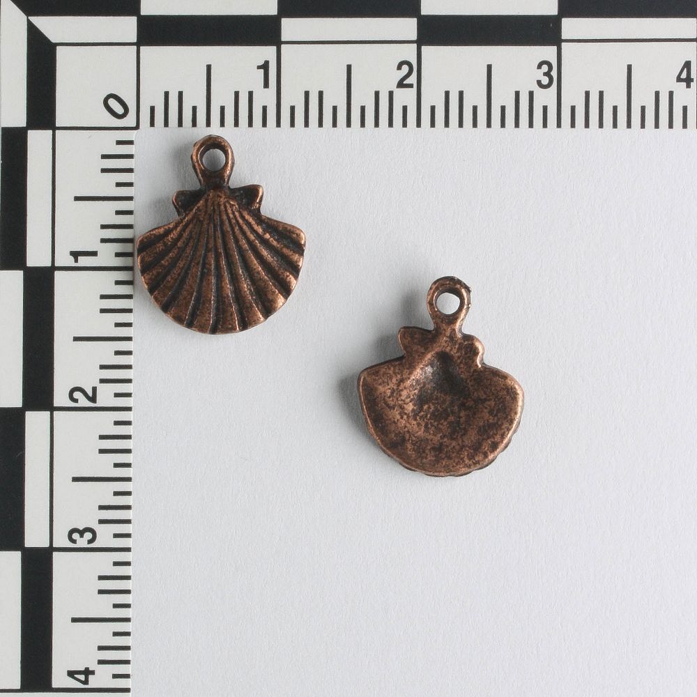 Charm - Scallop Shell