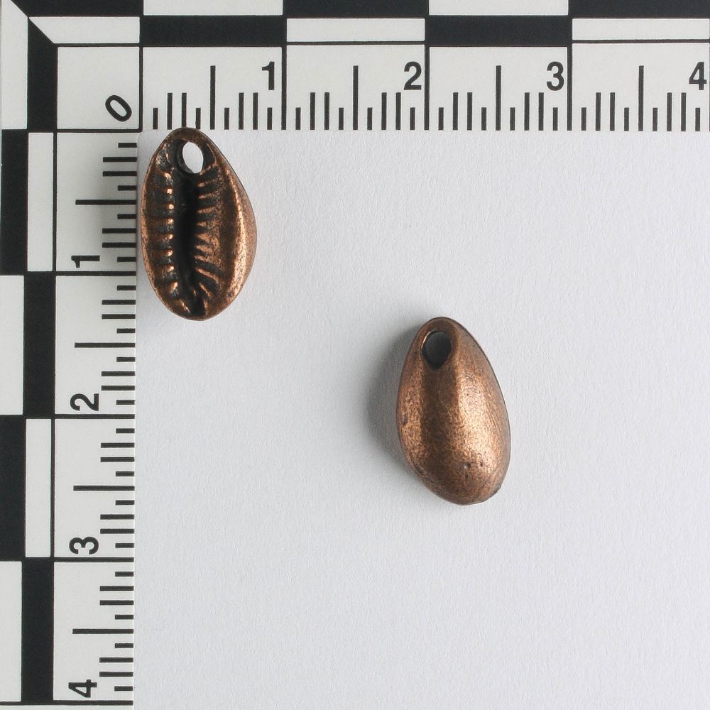 Charm - Cowrie Shell