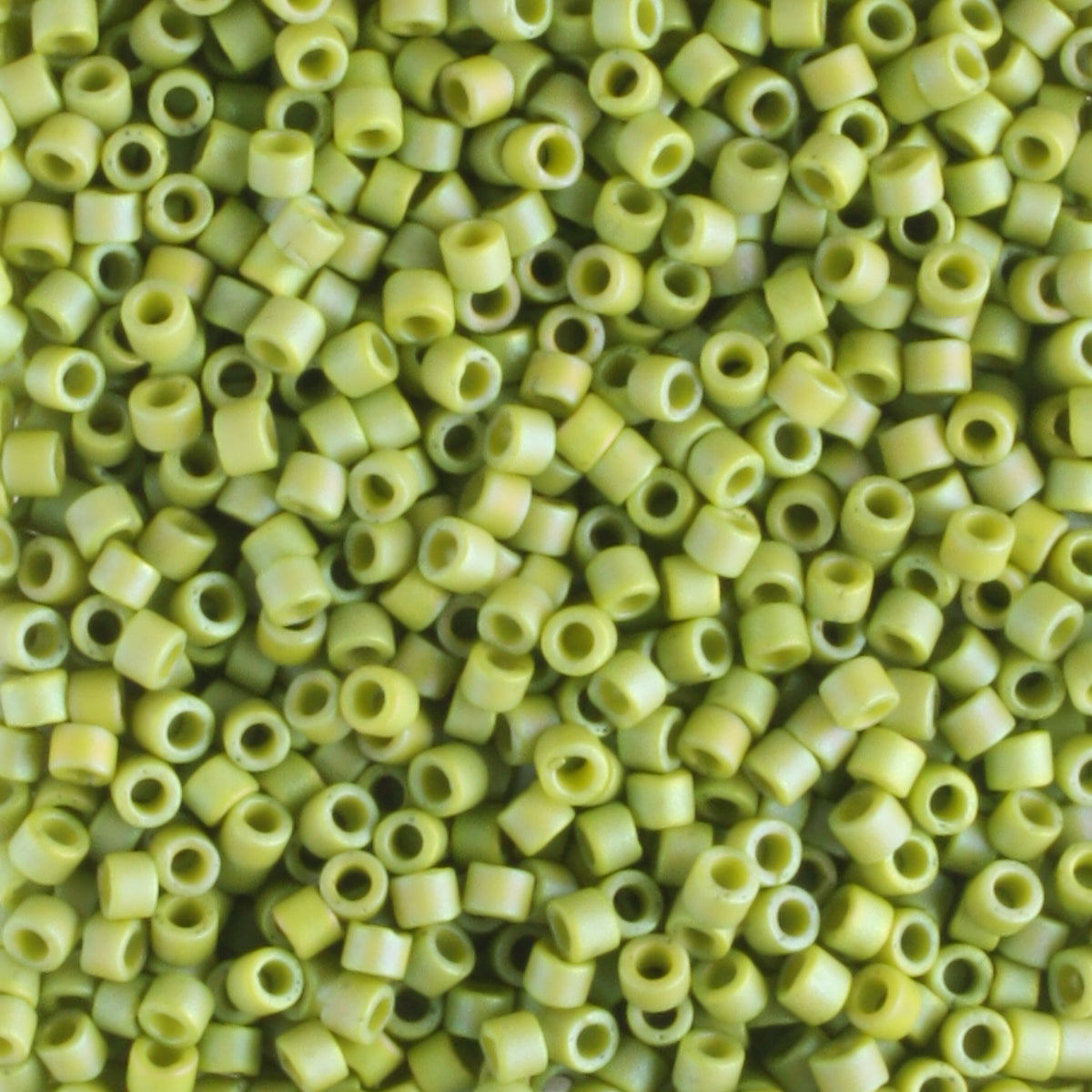 DB2309 Sprout