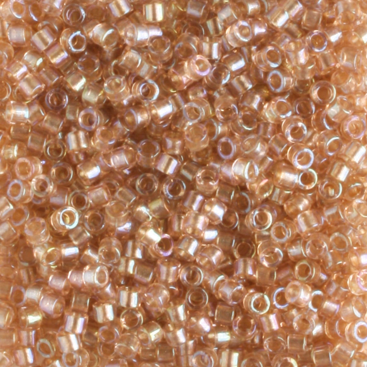 DB2373 Creamrose
