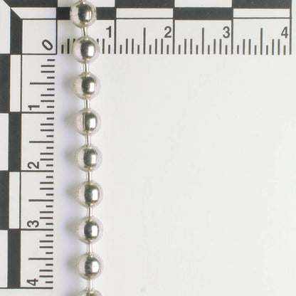 Silver Chain - foot
