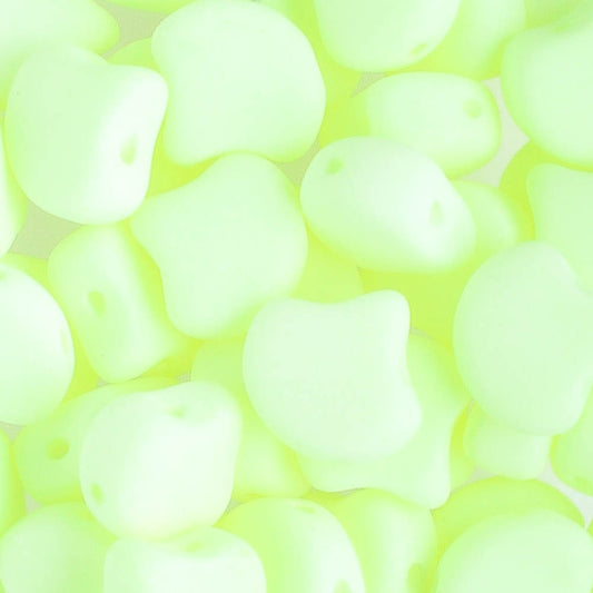 Gingko Bondeli Lemon - 10 grams