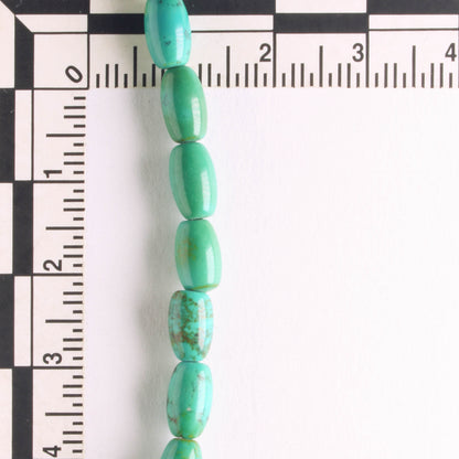 Imitation Turquoise - 8" strand