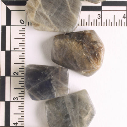 Labradorite - 8" strand