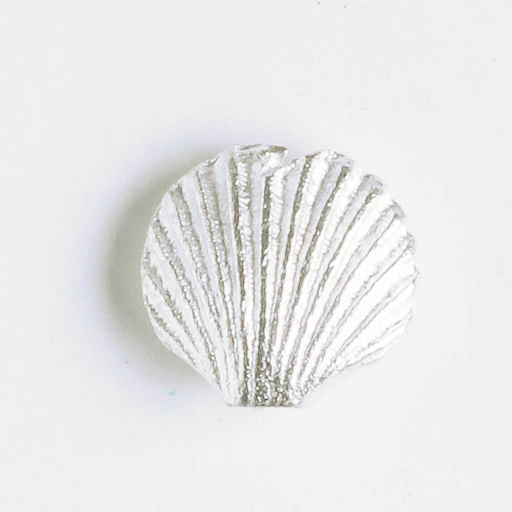 Bead - Shell
