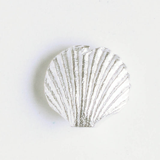Bead - Shell
