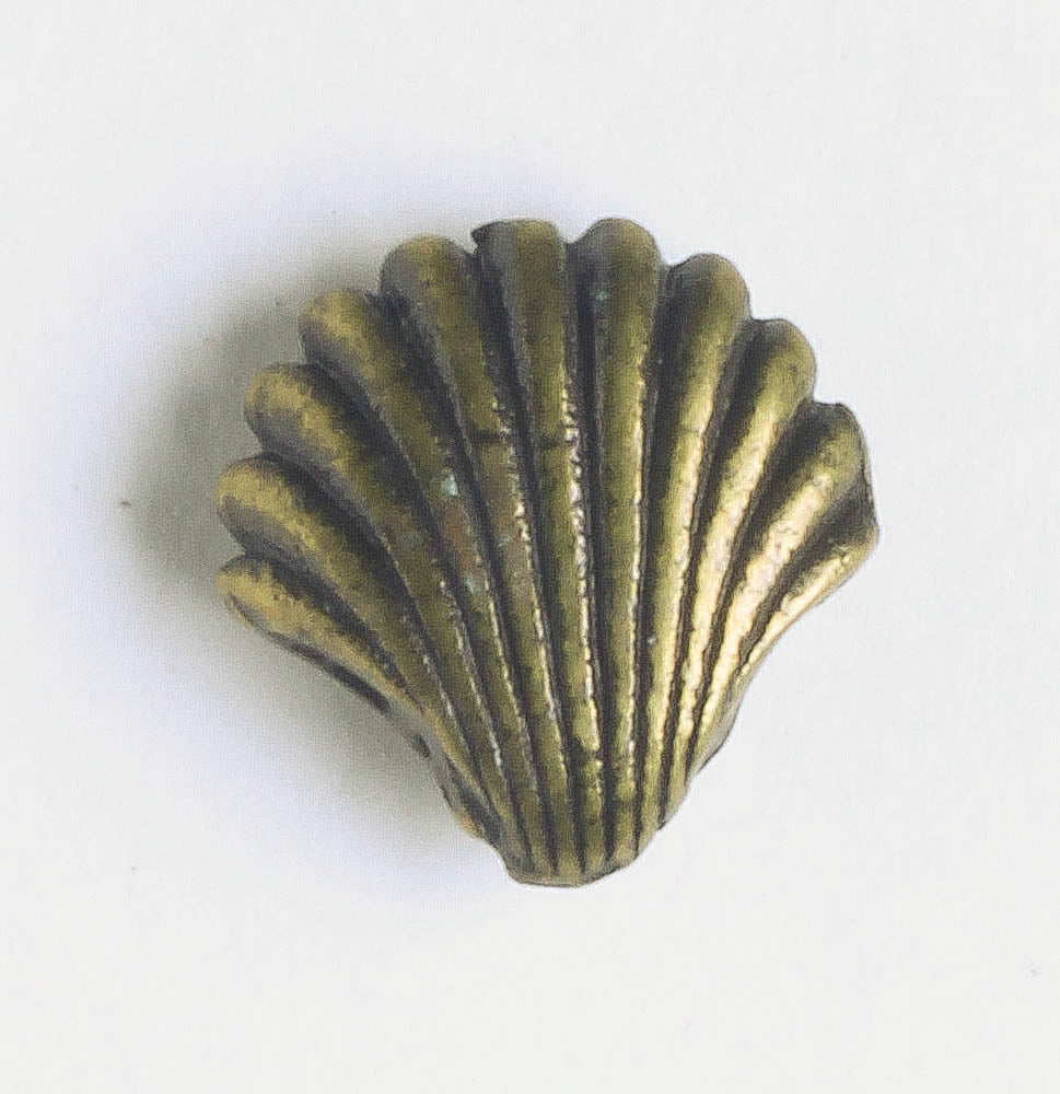 Bead - Shell