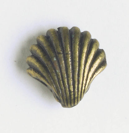 Bead - Shell