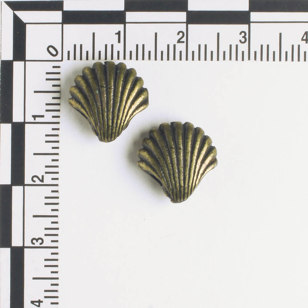Bead - Shell