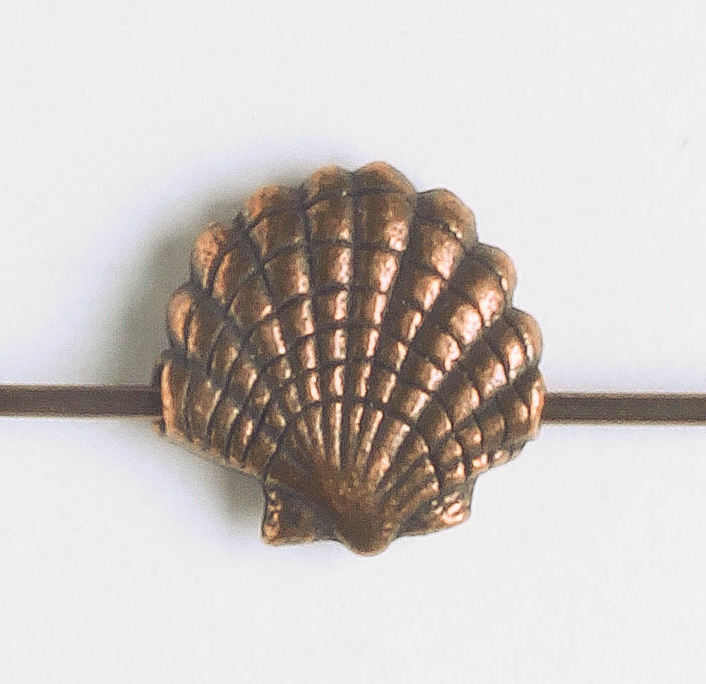 Bead - Shell
