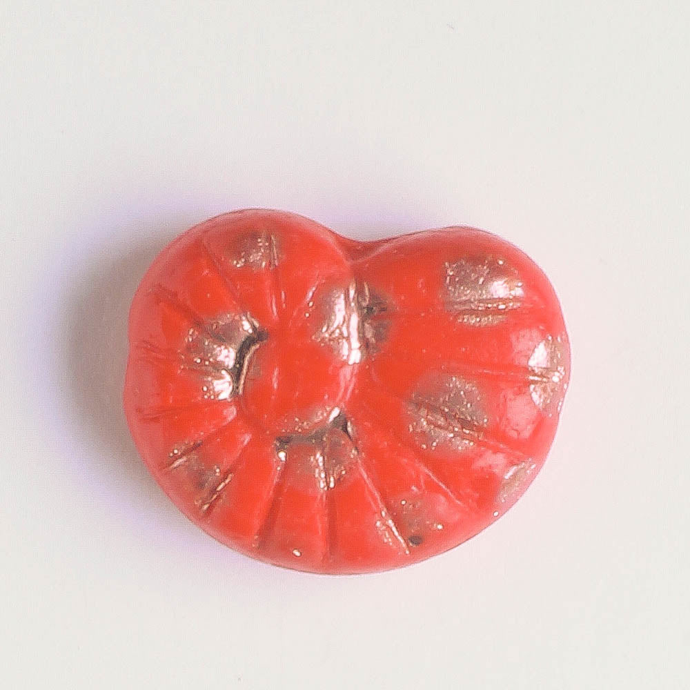 Bead - Shell