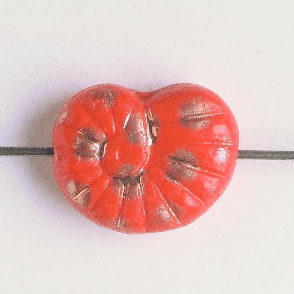 Bead - Shell