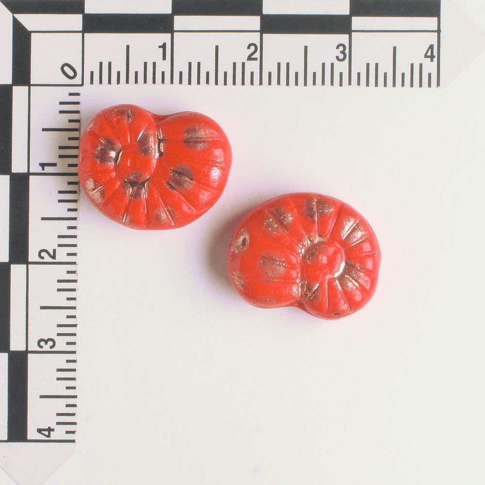 Bead - Shell