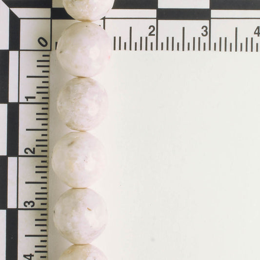 Fossil Jade - 8" strand