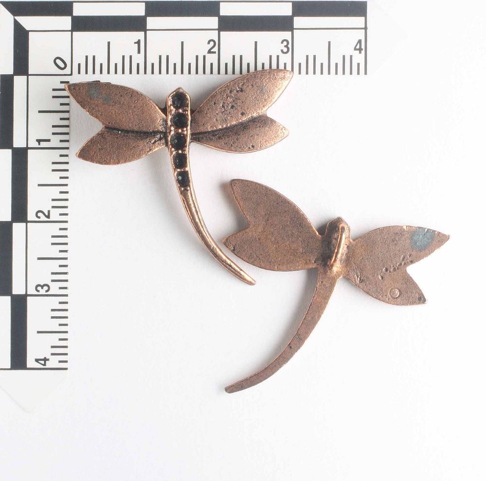 Charm - Dragonfly
