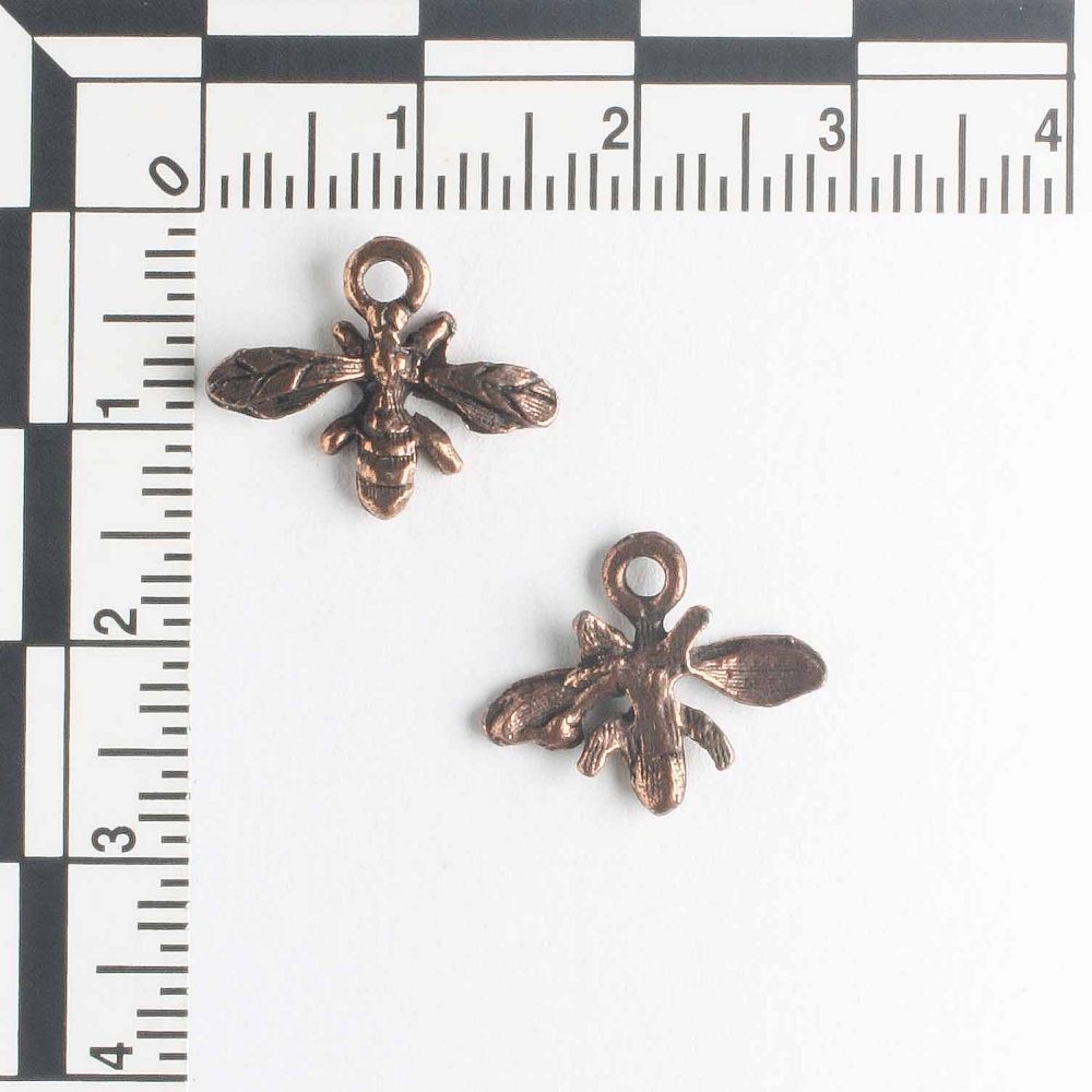 Charm - Bug
