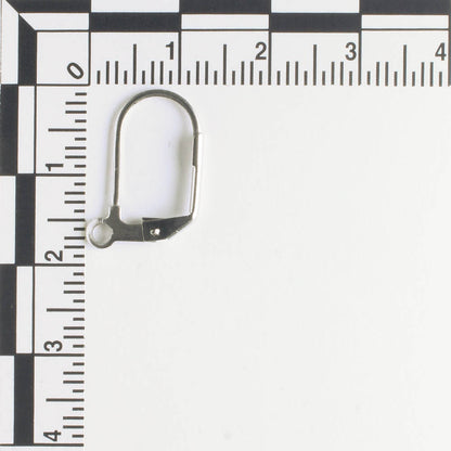 Earring - Stainless - Pair