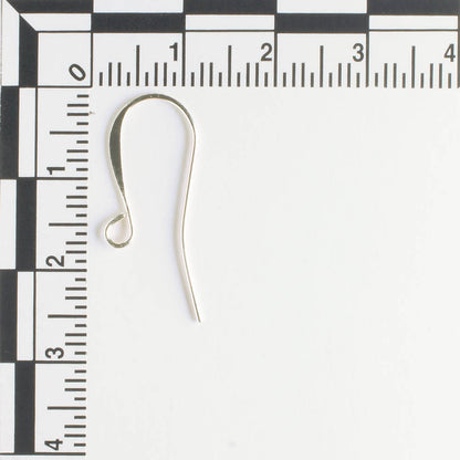 Earring - Silver - Pair