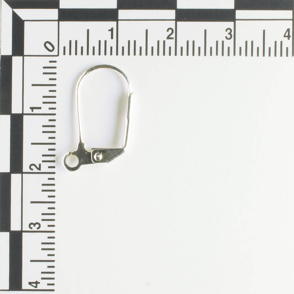 Earring - Silver - Pair