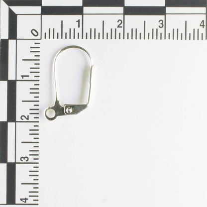 Earring - Silver - Pair