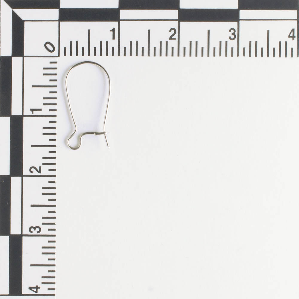 Earring - Stainless - Pair