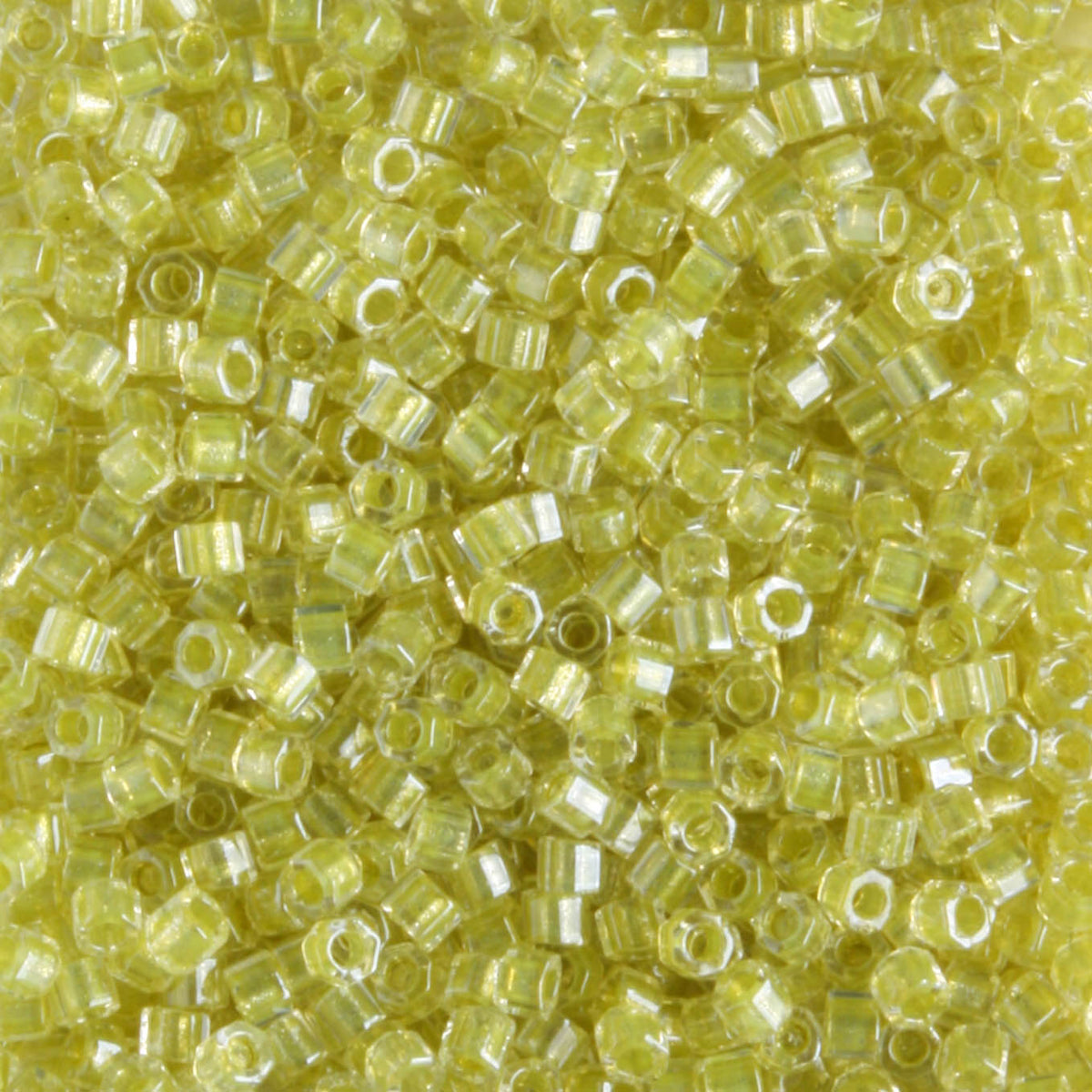 DBH0910 Color Lined Chartreuse