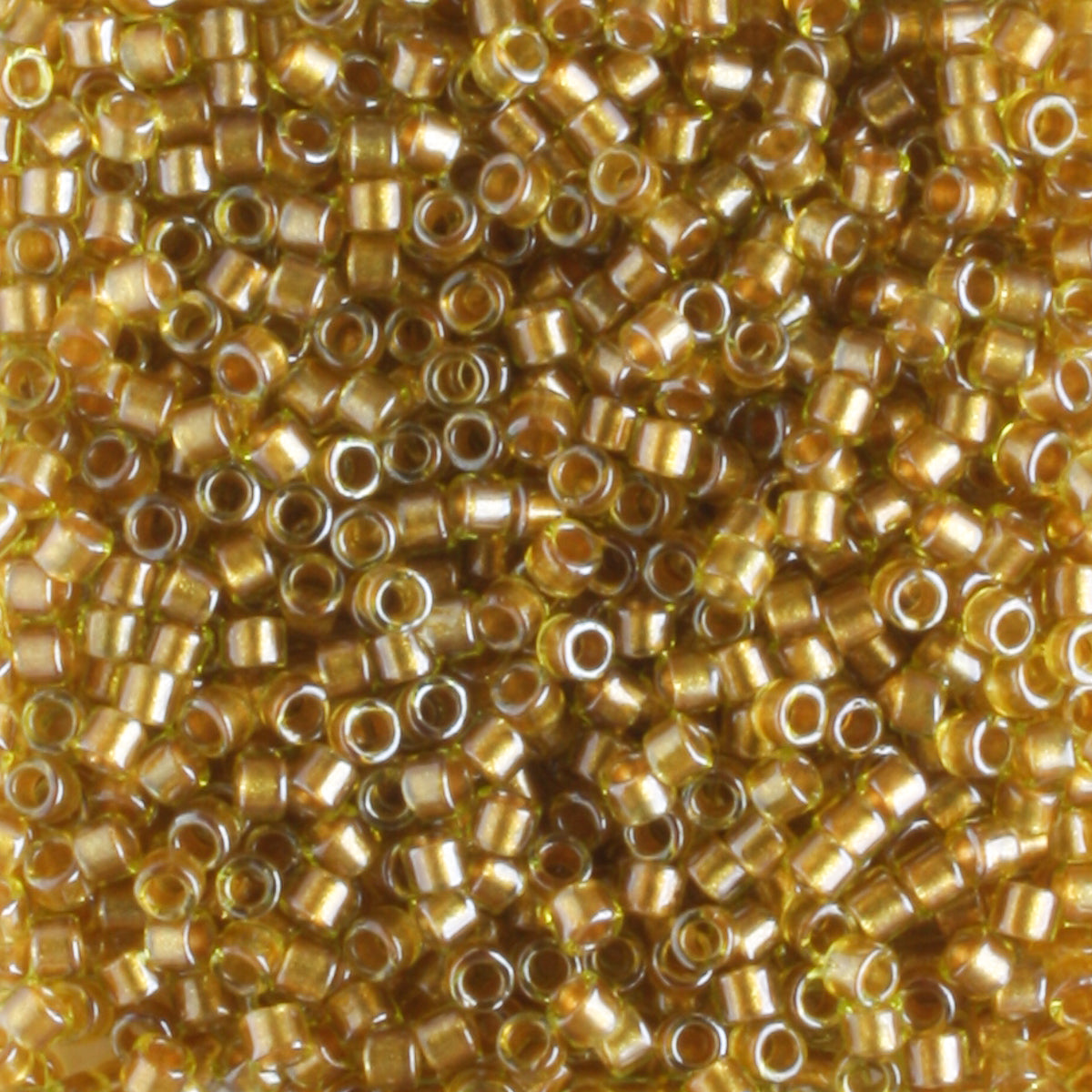 DB0909 Color Lined Mustard