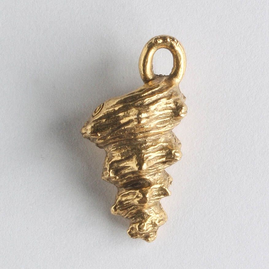 Charm - Shell