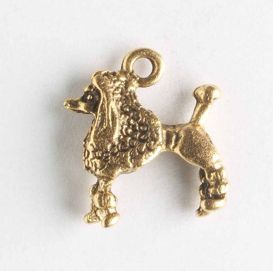 Charm - Dog