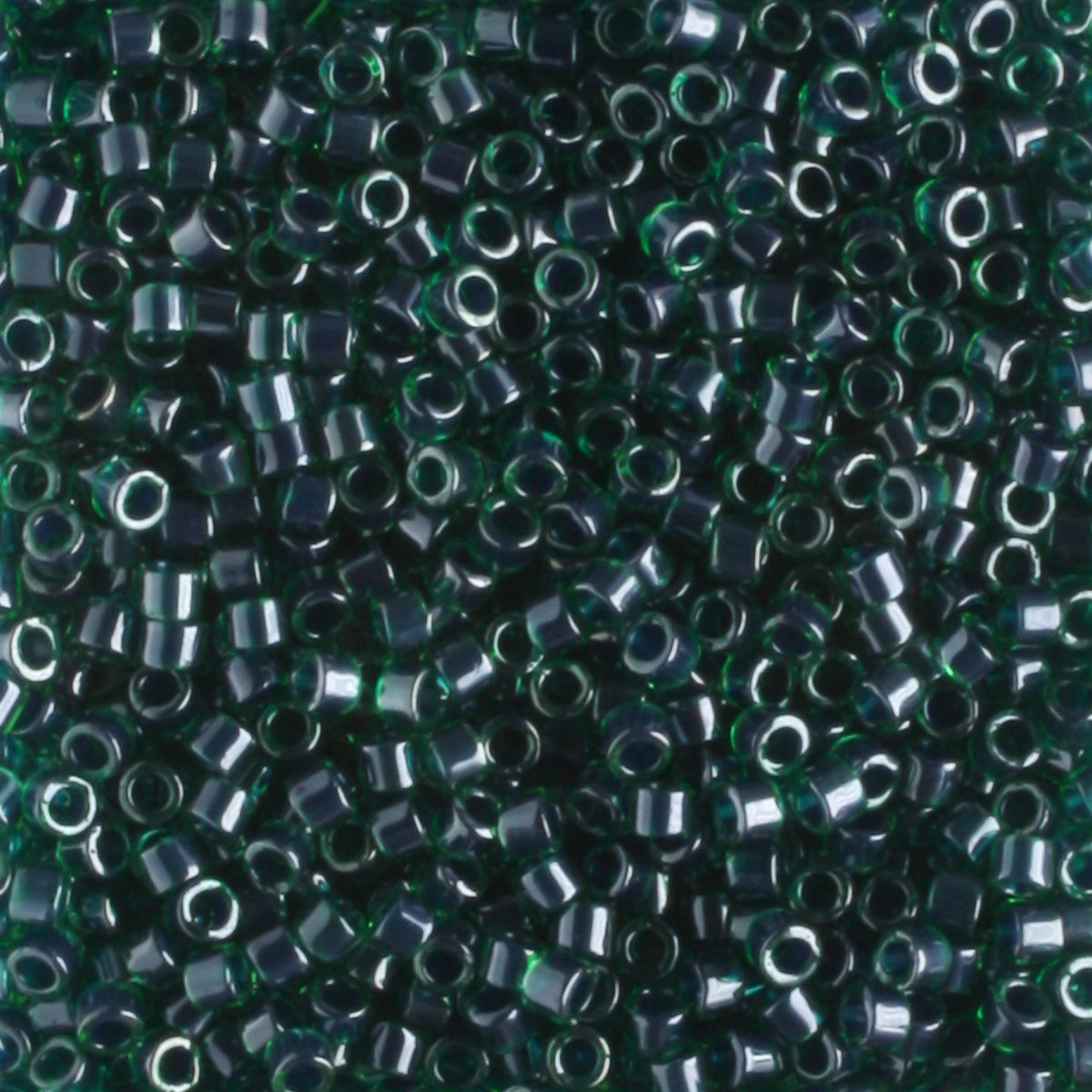DB0275 Color Lined Forest Green