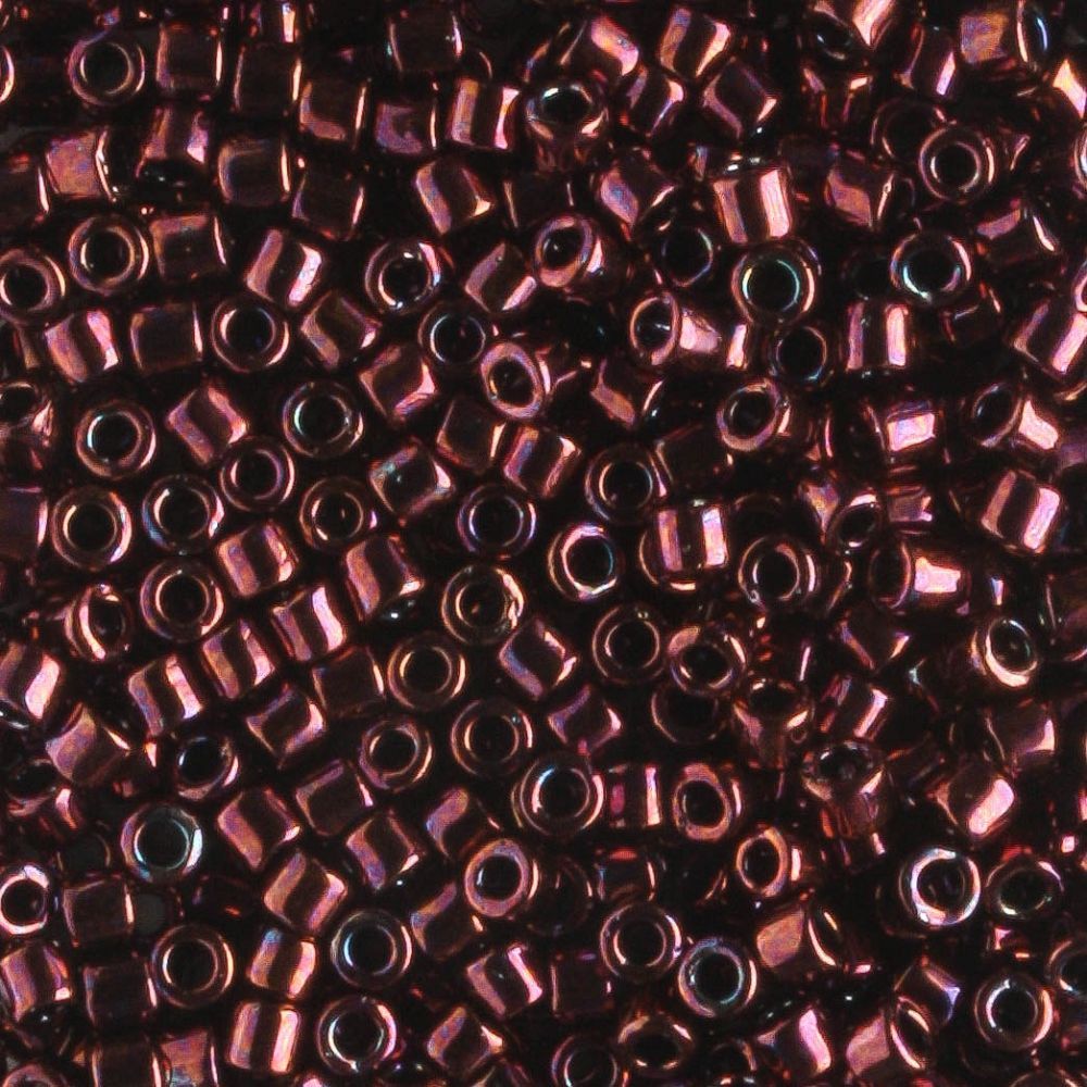 DBM0012 Raspberry
