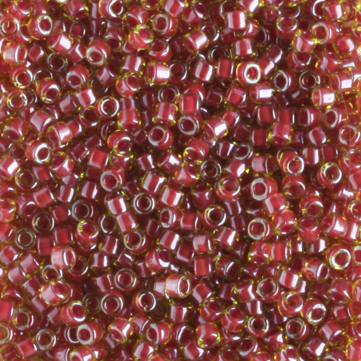 DB0283 Color Lined Rhubarb - 5 grams