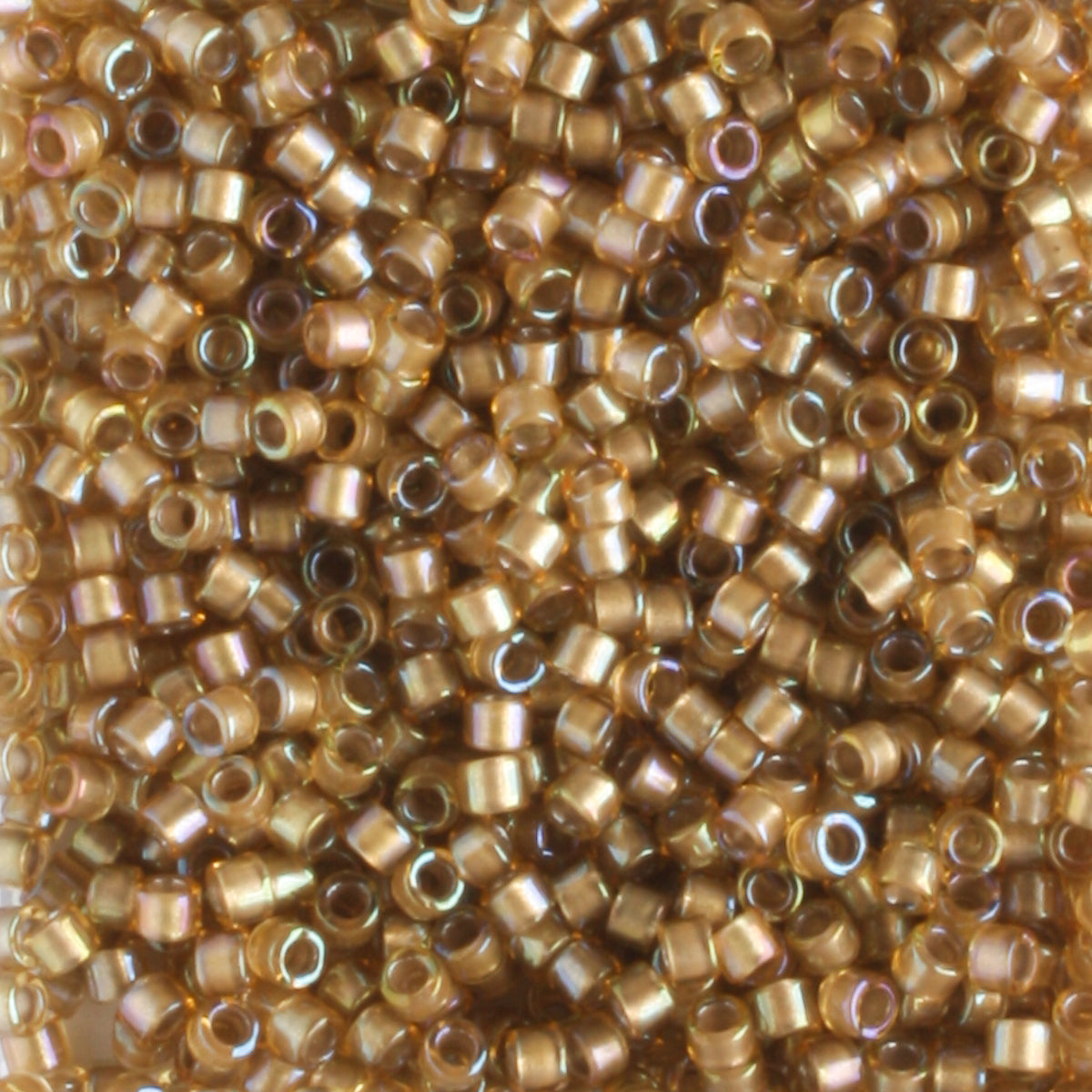 DB0288 Golden Amber