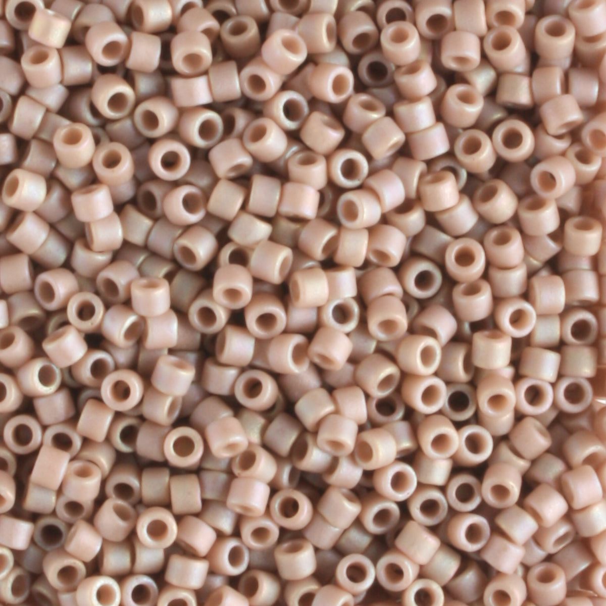 DB2305 Hazelnut